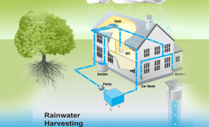 Rooftop Rainwater Harvesting