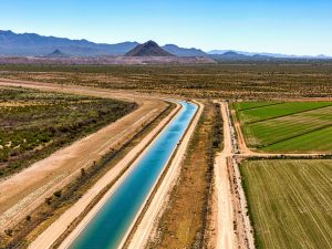 canal irrigation