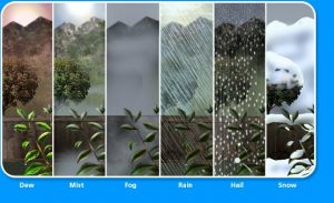 types of precipitation